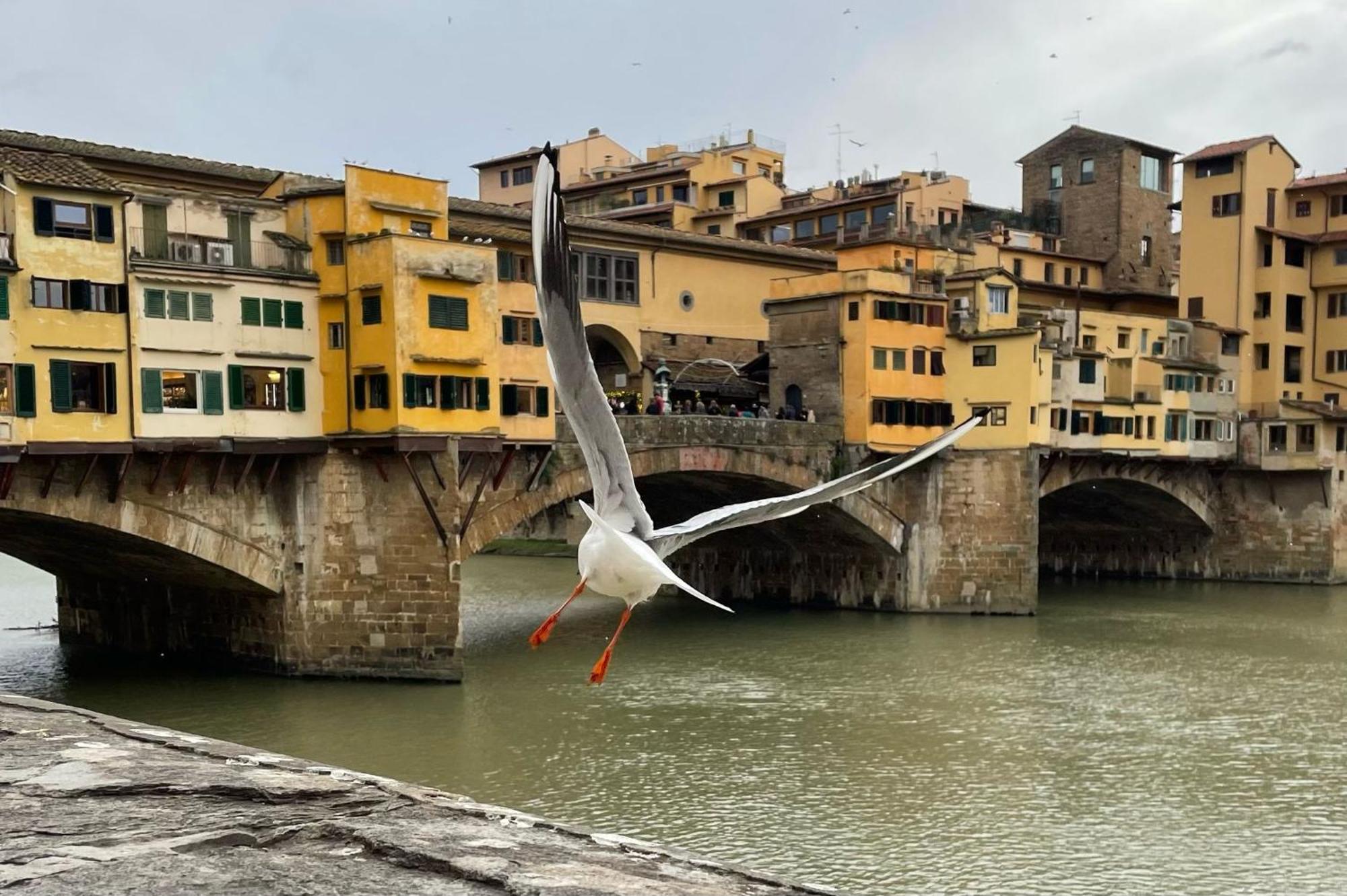 Vintage Apartments In The Heart Of Florence Exterior photo